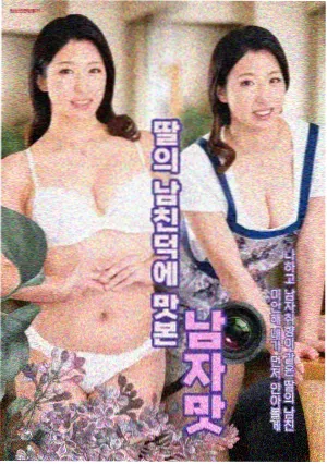 丁香花电视剧免费观看指南
